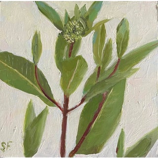 Bit of Teazle by Sheri Farabaugh | Cradled hardboard Painting of green leaves and buds For Sale