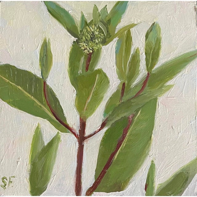 Bit of Teazle by Sheri Farabaugh | Cradled hardboard Painting of green leaves and buds For Sale