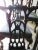 Robust Set 8 English Gothic Chippendale Solid Mahogany Dining Chairs C1890s For Sale - Image 4 of 12