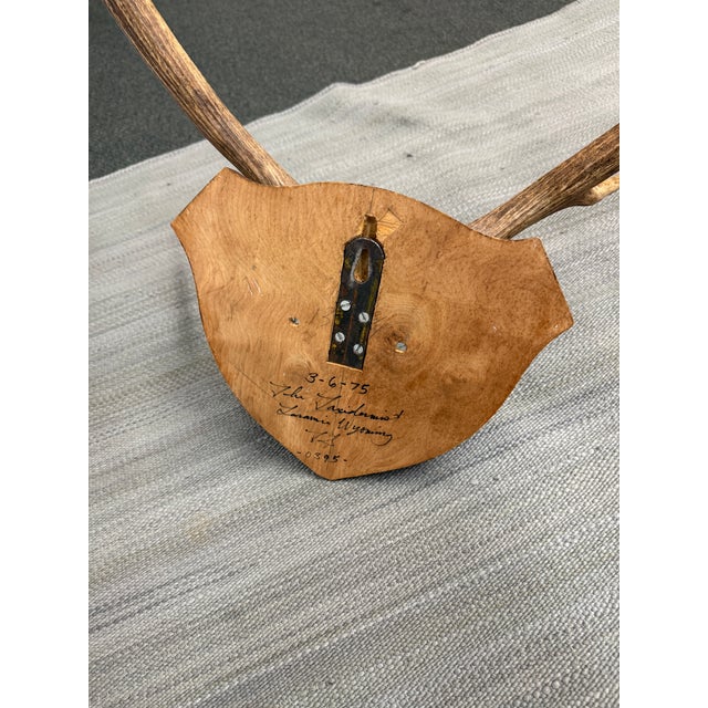 Circa 1975 the Taxidermist in Laramie, Wyoming Antlers For Sale - Image 10 of 12