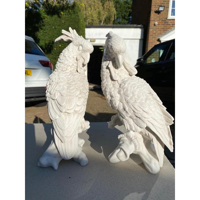 This elegant pair of Meissen porcelain parrots, crafted in the 20th century, exemplifies the fine artistry and intricate...