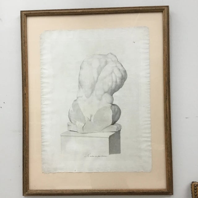 19th Century French Framed Engraving of Male Torso Sculpture For Sale In Providence - Image 6 of 6