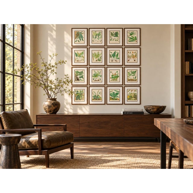 An exceptional collection of sixteen original 19th-century fern chromolithographs, beautifully presented as a complete...