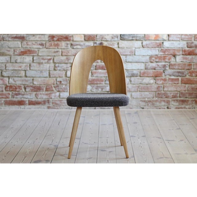 1960s Mid-Century Dining Chairs by A. Suman, Set of 10 For Sale - Image 5 of 17