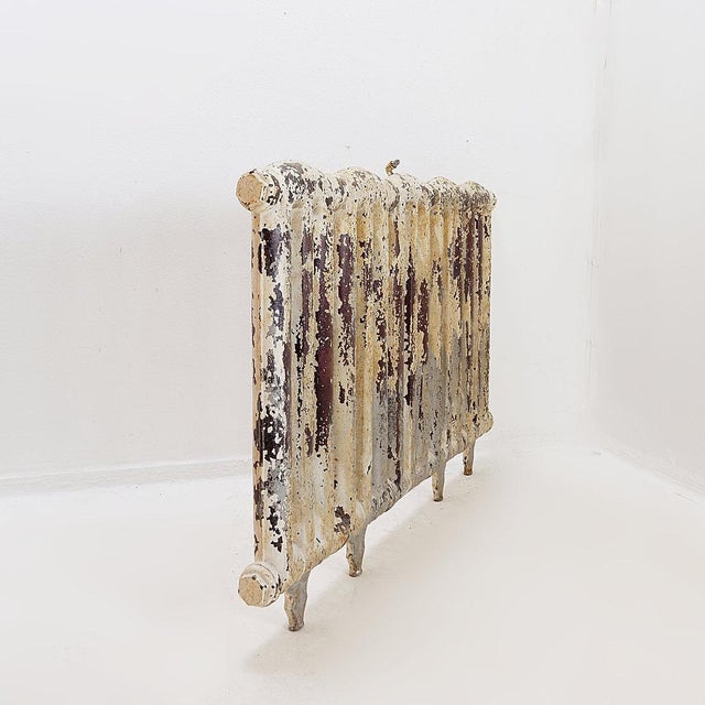 Victorian Cast Iron Radiator with Leafy Branches and Flowers, 1890s For Sale - Image 5 of 16