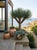 Greige 1970s Willy Guhl Sculptural Biomorphic Garden Planter For Sale - Image 8 of 12