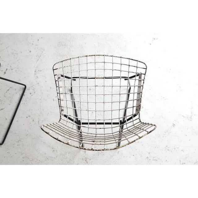 Metal Set of Childrens Wire Chairs by Harry Bertoia for Knoll, 1950s For Sale - Image 7 of 11