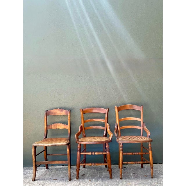 Vintage Collection of Cane Seat Chairs - Set of 3 For Sale - Image 12 of 12
