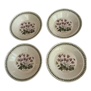 2010s Botanic Garden by Portmeirion Rim Soup Bowls, England - 8.5” Diameter at the Rim, Set of 4