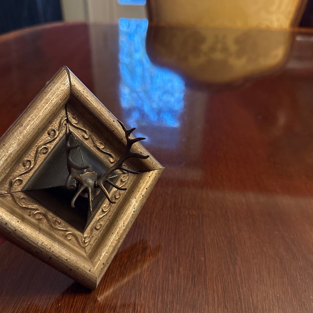 Mid 20th Century Framed Antlers For Sale - Image 5 of 6