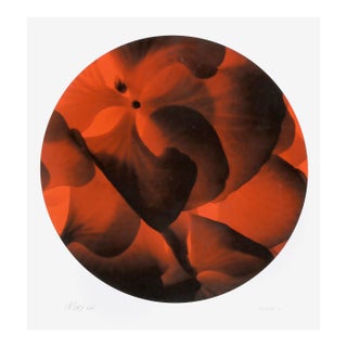 Tondo No. 6 (Red and Black Macro), Jonathan Singer, Print For Sale