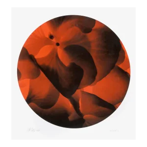 Tondo No. 6 (Red and Black Macro), Jonathan Singer, Print