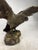 Statue Depicting an Eagle with Open Wings, 1890s-1910s, Bronze For Sale - Image 4 of 13