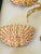 1970s Natures Beauty Crab Shells Collection For Sale - Image 4 of 5
