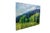Mid century Miss Lititia Thompson Blue Ridge Mountains oil painting on canvas. Marked Happy Birthday Mary 1963 on back....