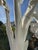 Monumental Indoor Sculptural Banana Tree by Julio Jimenez – One-of-a-Kind Tropical Statement Piece For Sale - Image 15 of 17