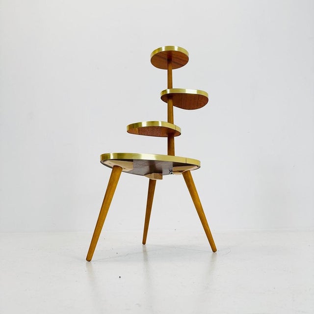 Large Mid-Century Minimalist Plant Stand, Germany, 1950s For Sale - Image 10 of 11