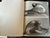 Ernst Barlach Art Book For Sale - Image 13 of 16