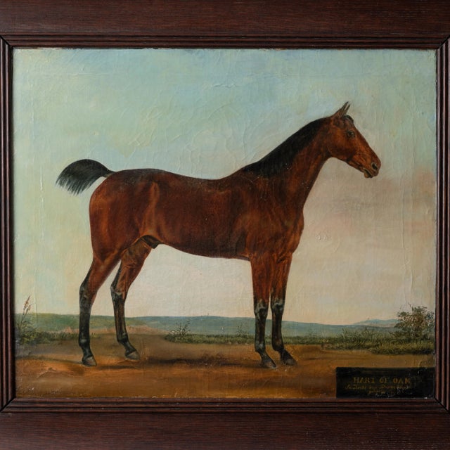 A portrait of a race horse with title “Hart of Oak,” circa 1870. English, though possibly of German derby pedigree as...