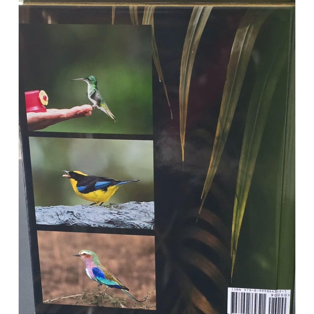 Whispers in the Wind a Tweet From the Wild For Sale - Image 6 of 17