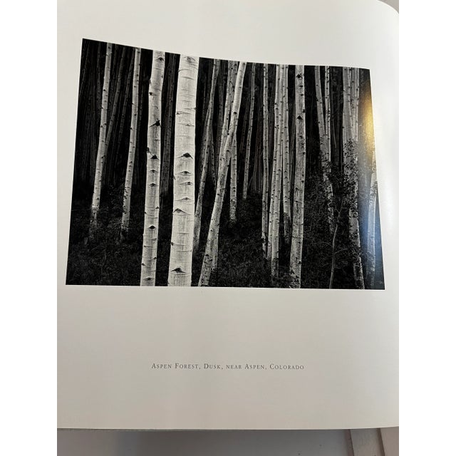 1995 John Sexton Listen to the Trees Book For Sale In New York - Image 6 of 12
