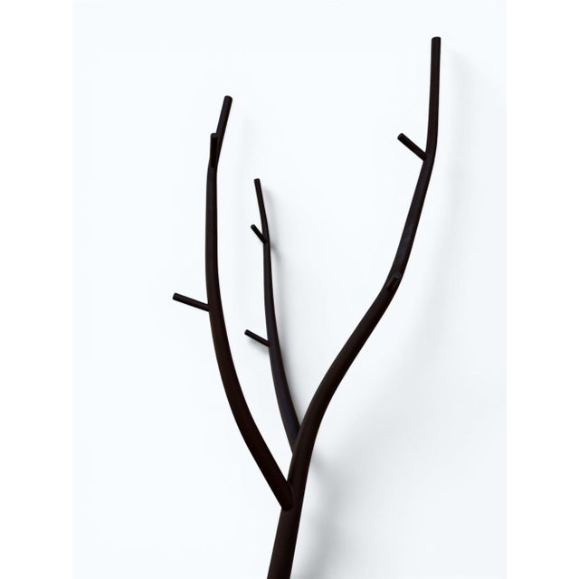 Tree Coat Stand by Marcantonio for Opinion Ciatti, 2000s For Sale - Image 4 of 9