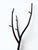 Tree Coat Stand by Marcantonio for Opinion Ciatti, 2000s For Sale - Image 4 of 9
