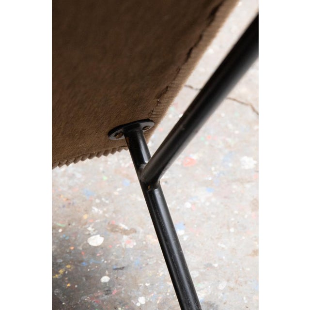 Vintage French ST 683 Chairs by Eddie Harlis, 1956 For Sale - Image 6 of 8