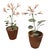 Pair of Artisan Flowers For Sale - Image 4 of 12