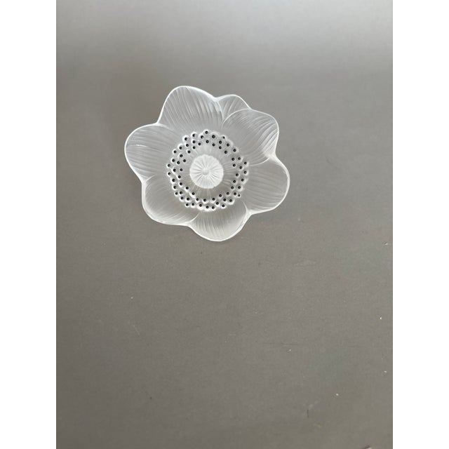 Elegant glass anenome paper weight that goes with any decor as the glass is clear with black dots