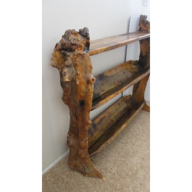 Slab Wood Tree Trunk Live Edge Bookcase Book Shelf Daryl Stokes Style