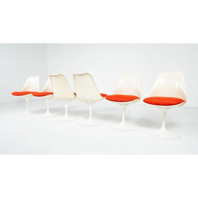 Tulip Chairs by Eero Saarinen for Knoll, 1960s, Set of 6 For Sale - Image 13 of 17