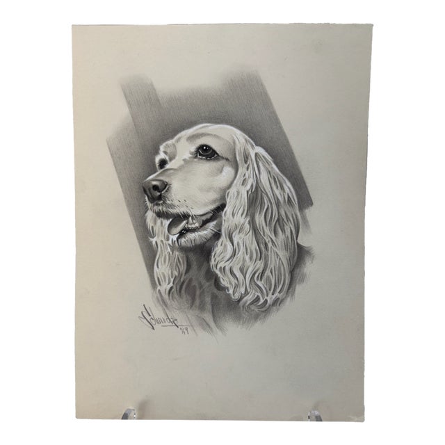1940s Original Signed Graphite Portrait of Cocker Spaniel Dog, 1949, 11 × 8.25 In. For Sale