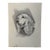 1940s Original Signed Graphite Portrait of Cocker Spaniel Dog, 1949, 11 × 8.25 In. For Sale