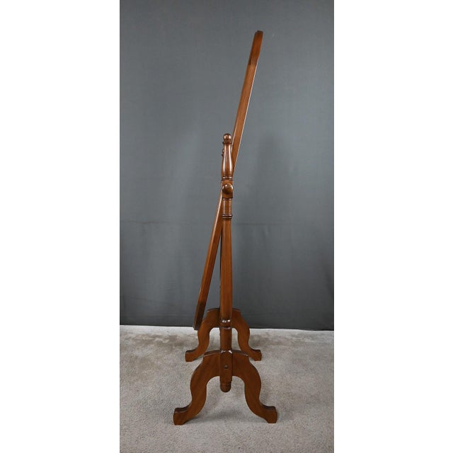 Mahogany Psyche Part 2 Mirror, 20th Century For Sale - Image 11 of 16