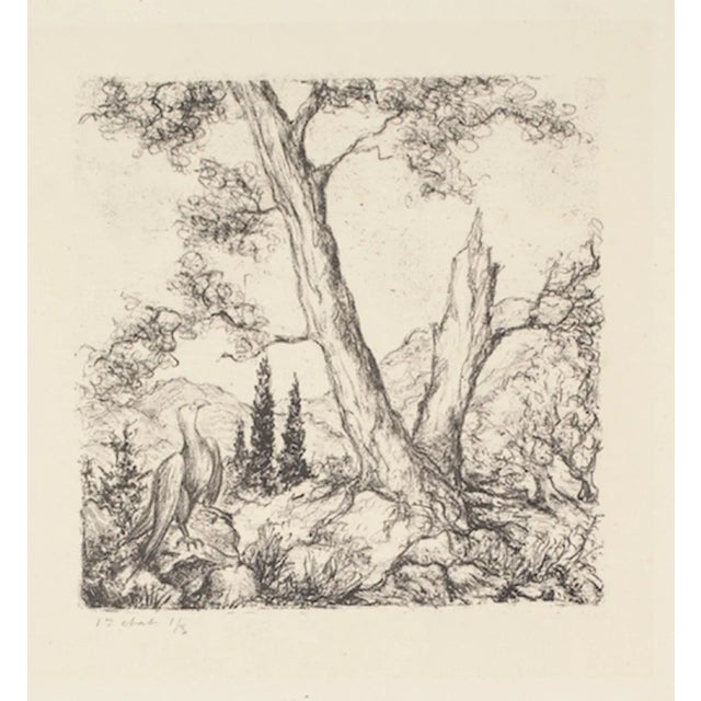Eagle and Tree - Original Etching - 1960s 1960s For Sale - Image 3 of 3