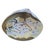 These four genuine clam shells form two delightful matched pairs, each designed to close neatly together just as in the...