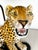 Mid Century Ceramic Leopard Lamp For Sale - Image 4 of 12