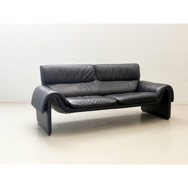 Animal Skin DS-2011 Leather Sofa by de Sede, Switzerland, 1980s For Sale - Image 7 of 18