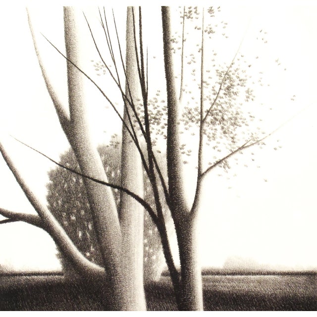 Contemporary Robert Kipniss, Landscape with Trees, Circa 1980 For Sale - Image 3 of 9