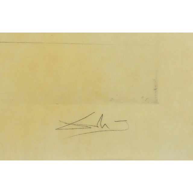Salvador Dalí - The Kings Hanging in the Trees - Etching and Drypoint - 1973 For Sale - Image 3 of 4