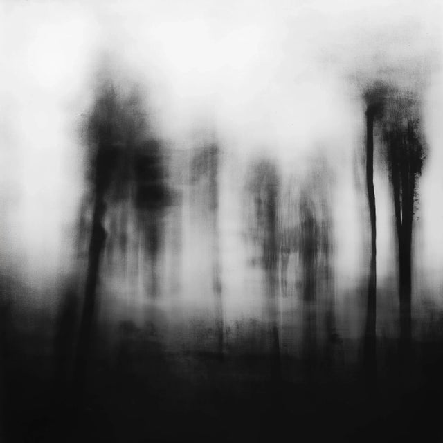 Abstract Blurred Landscape No. 2 Black and White Photography For Sale - Image 3 of 6