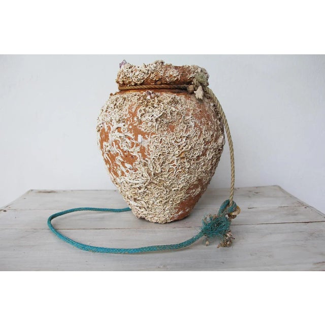 19th Century Terracotta Octopus Trap Vase For Sale - Image 13 of 13