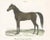 Schinz, Illustration of a Persian Stallion, 1827, Print For Sale