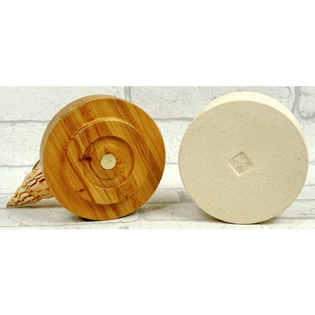 “Hydro” Contemporary Sculpture by Isabelle Fustinoni (French Artist) – Natural Shell & Mixed Media For Sale - Image 6 of 8