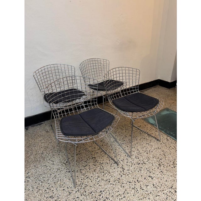 Harry Bertoia Chrome-Plated Side Chairs by Harry Bertoia for Knoll, 1970s, Set of 4 For Sale - Image 4 of 18
