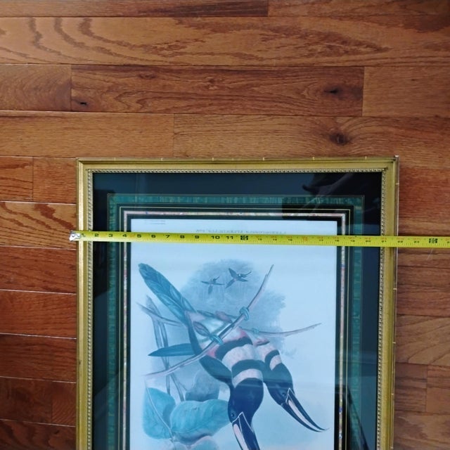 Rare John Gould & Richter Framed Toucan Litho Mid 19th Century Many-Banded Aracari "Pteroglossus Pluricinctus" 28x22 For Sale - Image 15 of 16