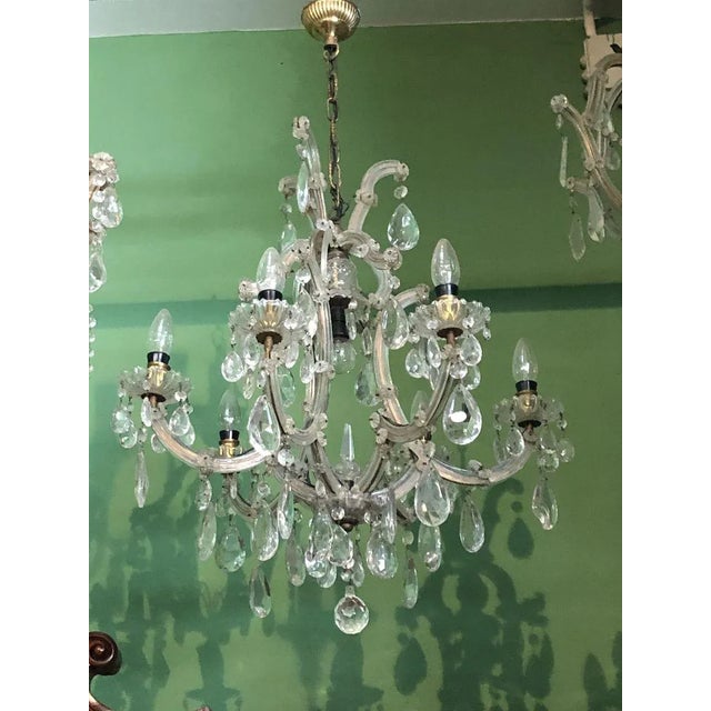 Vintage Bohemia Chandelier, 1950s For Sale - Image 6 of 7