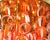 Vistosi Orange Modernist Murano Glass Chandelier, 1980s For Sale In Austin - Image 6 of 10