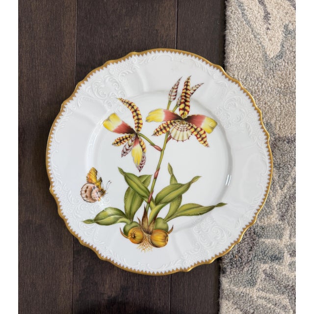 Late 20th Century Set of 10 Anna Weatherley Dinner Plates From the "Mid Summer" & "Flowers of Yesterday " Pattern 10.25" For Sale - Image 11 of 14